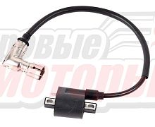 Катушка зажигания со свечным колпачком 166FMM (CB250) TTR250Rb