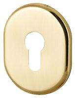 Декоративная накладка Armadillo (Армадилло) на цилиндр ET-DEC (ATC Protector 1) GP-2 Золото