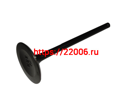 Клапан впускной NB300  ZS (174MN-5) (100159115)