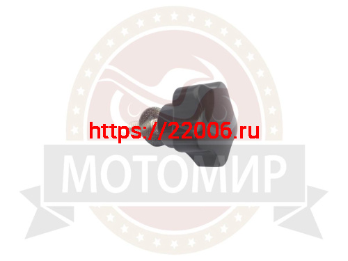 Болт крепления переднего пластика DINGO T110,T125,T150 (М8*24.5мм)  (ПР)